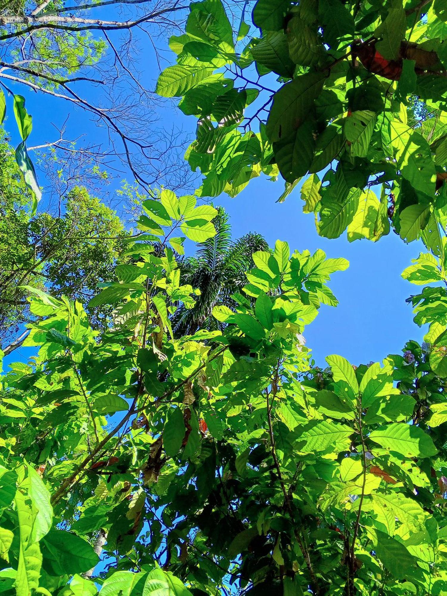 Ingaru Lodge Pano Buitenkant foto