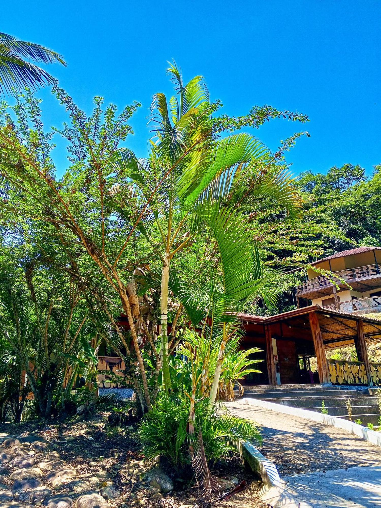 Ingaru Lodge Pano Buitenkant foto