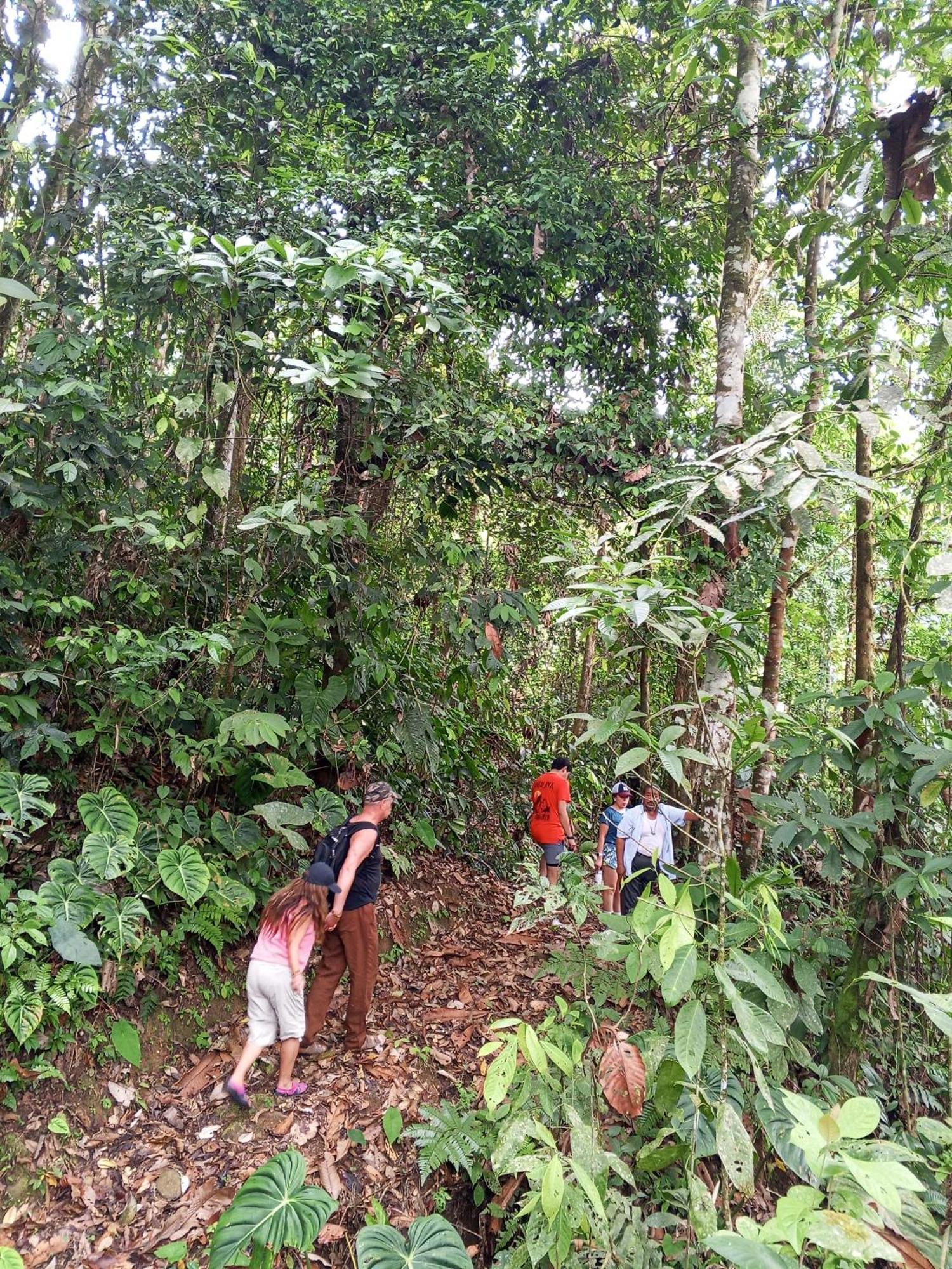 Ingaru Lodge Pano Buitenkant foto